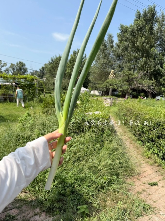吴昌泽妻子晒牧场近照 辽宁前锋25-26赛季场均2.2分2.1篮板 吴昌泽妻子晒牧场近照 辽宁前锋25-26赛季场均2.2分2.1篮板